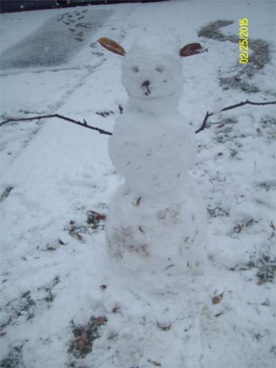 Your hobbies outside of computers-snowman1-jpg